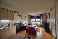 Een zithoek en keuken in een appartement met rode leren banken en veel planten.