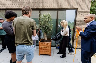 Mensen staan op een buitenplaats te klappen rondom een olijfboom in een houten plantenbak.