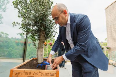 Een man met donkerblauw pak stopt een potje in het zand van een houten plantenbak met een olijfboom erin.