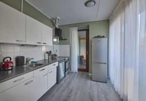 Moderne keuken met witte kasten, roestvrijstalen apparaten en groene muren. Zonlicht valt naar binnen door grote ramen met transparante gordijnen.