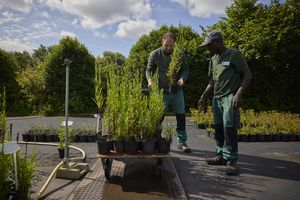 Twee mannen in uniform staan in ene kwekerij en zetten planten op een kar.