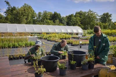 Drie mannen doen planten in potten bij een tafel. Op de achtergrond staan planten en in de verte een kas.