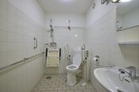 Toegankelijke badkamer met handrails, douche, toilet met handgrepen, opklapbare douchestoel, wastafel, spiegel en betegelde wanden en vloer.