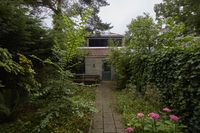 Een tuin met veel groen en een hortensia, in het midden een betegeld pad dat naar het schuurtje achterin loopt.