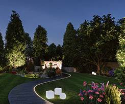 Éclairage des arbres