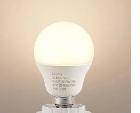 LED bulb