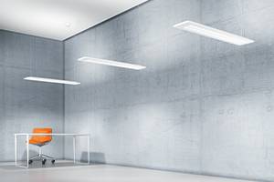 Leidenschaft und Anmut