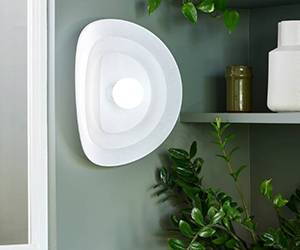 Selenitis no tirgus komplekta