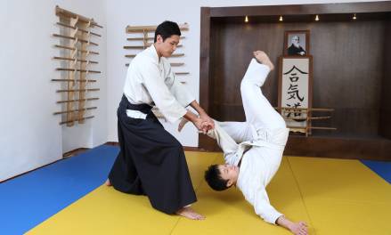 Lett for kampsport og vektløfting