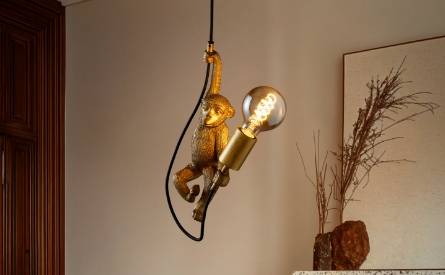 Lucide Extravaganza Chimp