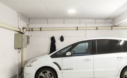 Ipsum van Müller-Licht