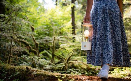 Дейности на открито в най-добра светлина