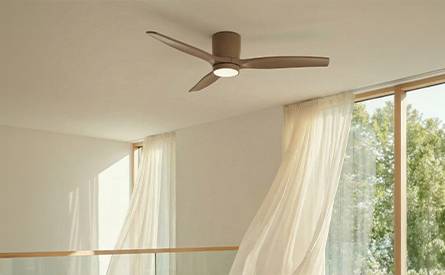 Fans with Light