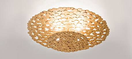 Ortenzia laevalgusti