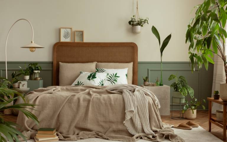 Arum a Ferm Livingtől