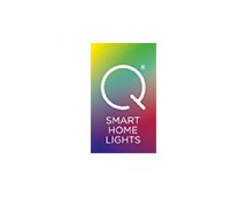 Logo Q