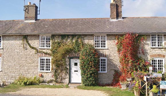 cottage with flowers and hedges
