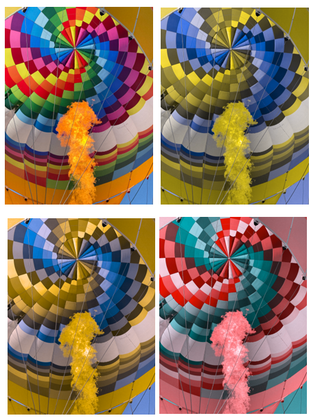 Vier afbeeldingen van dezelfde heteluchtballon van bovenaf, elk met een andere kleurweergave om vormen van kleurenblindheid te illustreren. Boven links: originele felle regenboogkleuren. Boven rechts: vergrijsde gele en blauwe tinten. Onder links: meer gedempte en verschoven kleuren. Onder rechts: rood-groen verschuiving waarbij roodroze tinten overheersen.