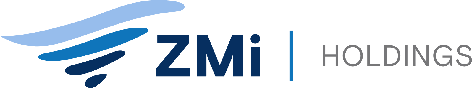 ZMI Holdings