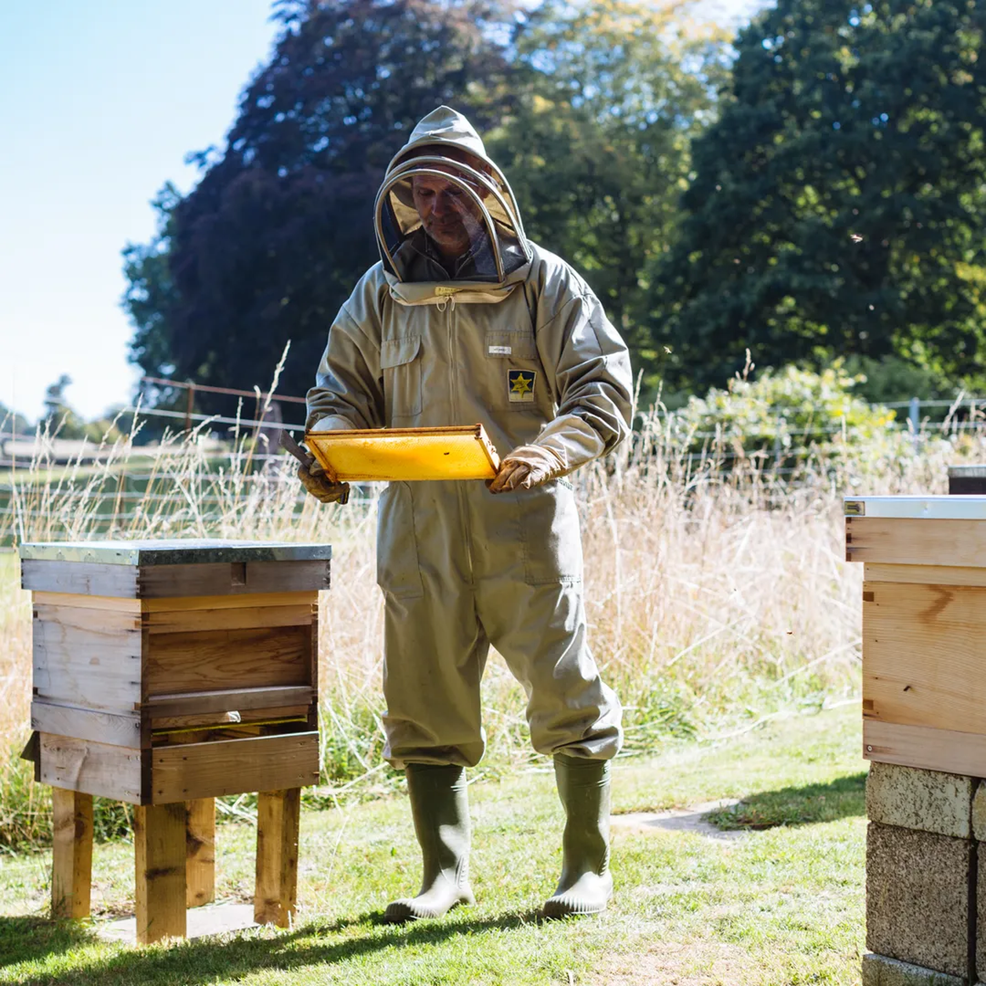 A beekeeper in protective gear examines a honeycomb frame near wooden beehives in a grassy area with trees in the background.