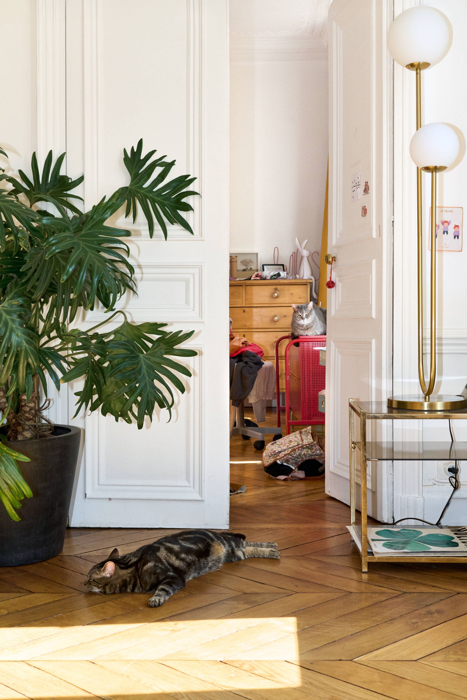 Chez Delphine Plisson