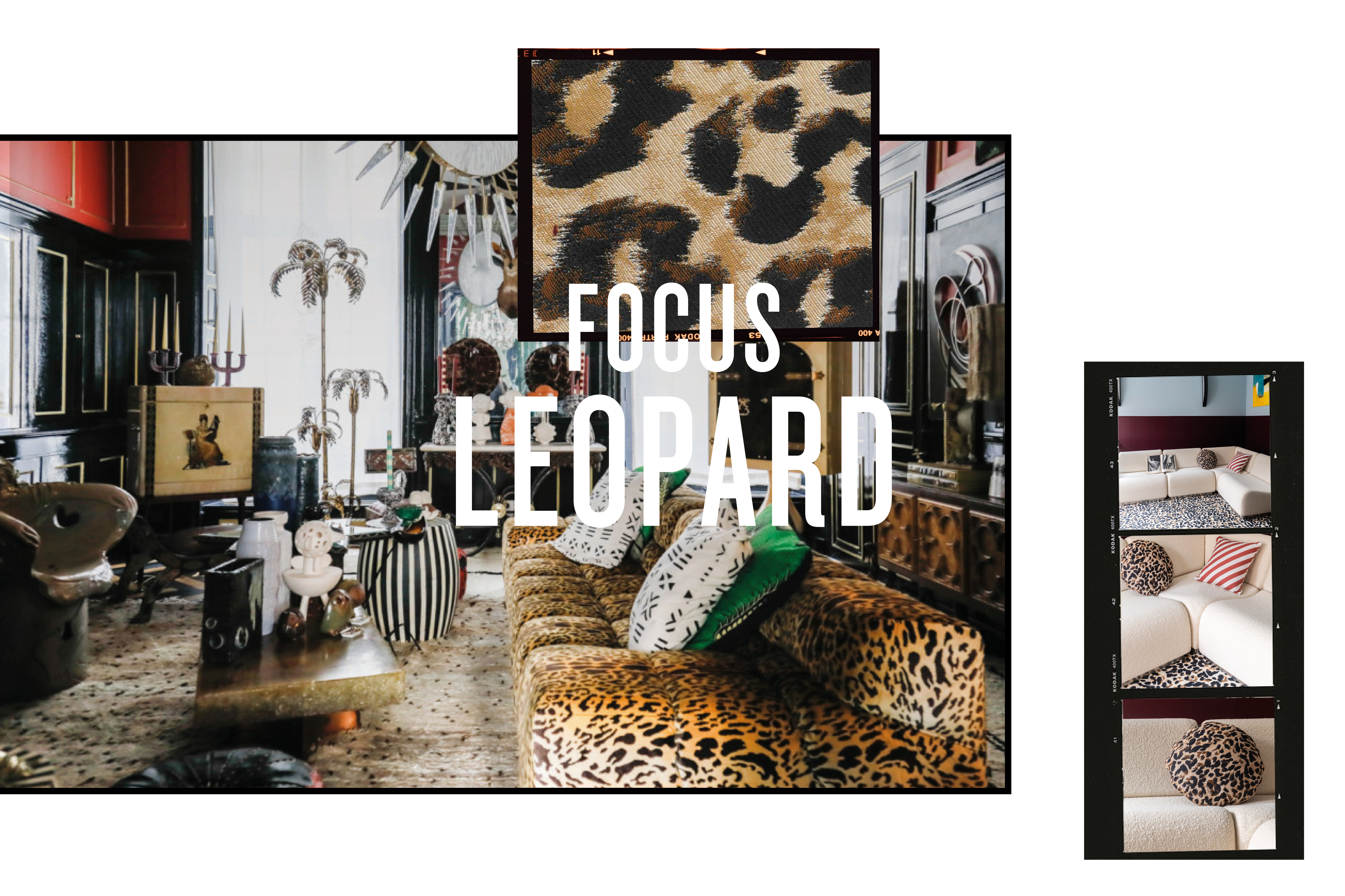 In a leopard mood