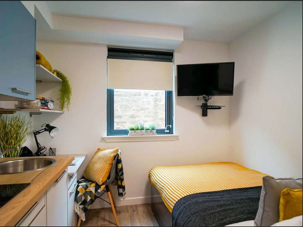 Compact, modern room with a bed, wall-mounted TV, small kitchenette, and window with potted plants. Decor includes yellow accents and a cozy blanket.