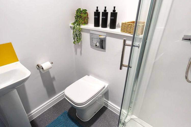 Small modern bathroom with a toilet, corner shower, sink, shelf with toiletries, a plant, wicker basket, and a blue rug on a gray floor.