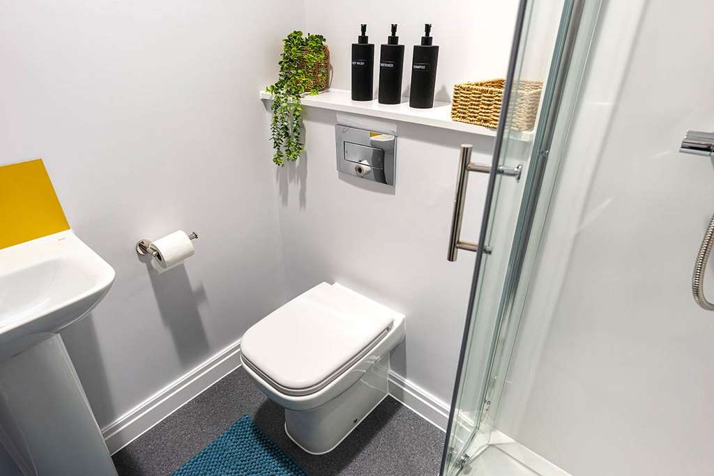 Small modern bathroom with a toilet, corner shower, sink, shelf with toiletries, a plant, wicker basket, and a blue rug on a gray floor.