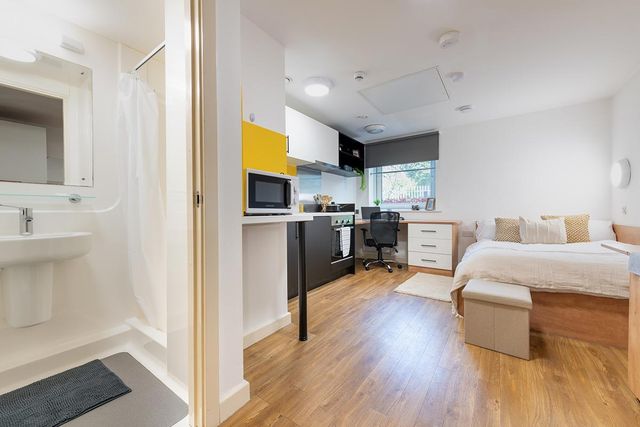 A modern studio apartment with a bed, desk, kitchenette, and a bathroom. Wooden flooring and natural light create a cozy, functional space.