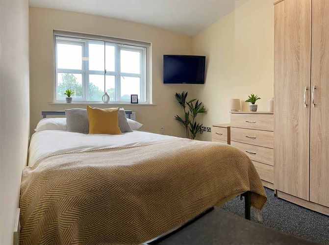 Cozy bedroom with a double bed, yellow and white bedding, wooden dresser, potted plants, wall-mounted TV, and a window with natural light.