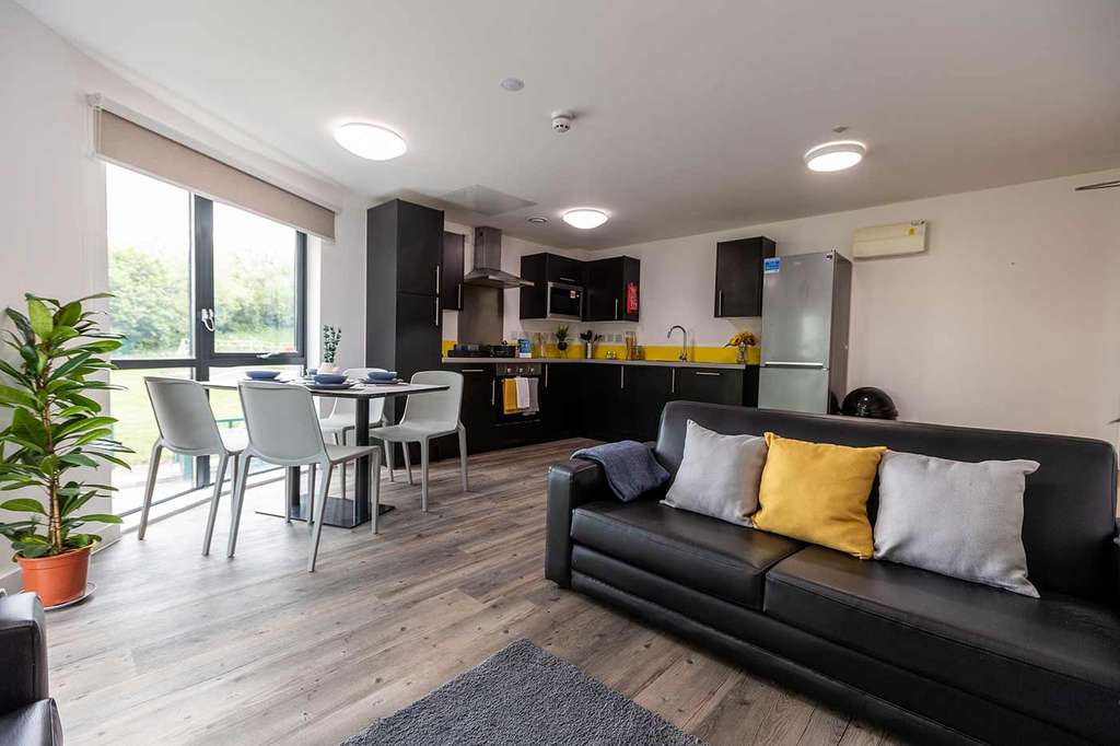 Modern open-plan kitchen and living area with black furniture, dining table, large windows, and potted plant. Bright and spacious interior.