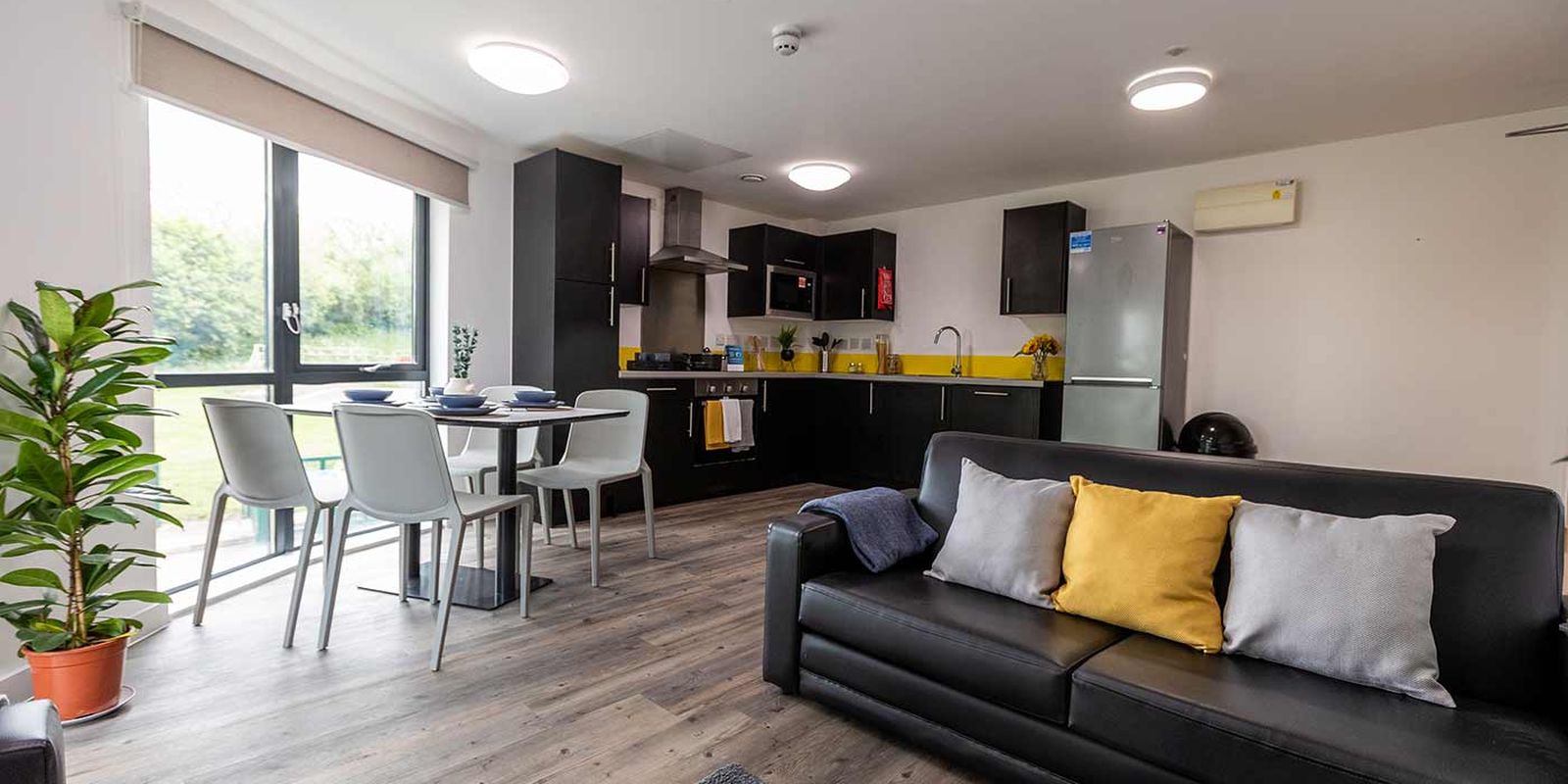 Modern open-plan kitchen and living area with black furniture, dining table, large windows, and potted plant. Bright and spacious interior.