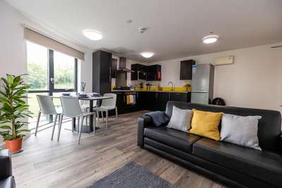 Modern open-plan kitchen and living area with black furniture, dining table, large windows, and potted plant. Bright and spacious interior.