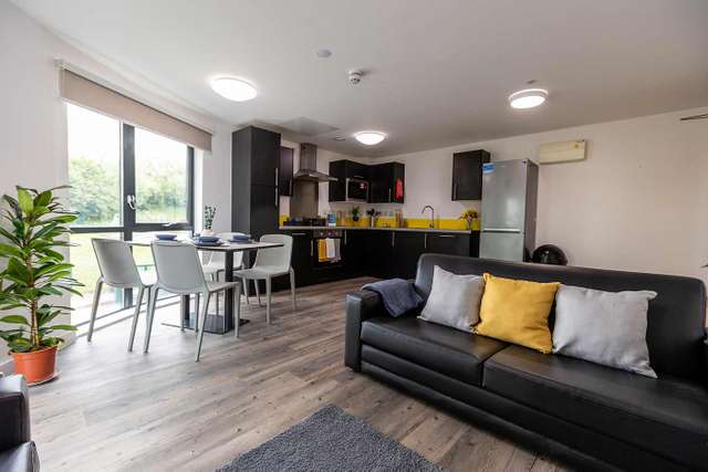 Modern open-plan kitchen and living area with black furniture, dining table, large windows, and potted plant. Bright and spacious interior.