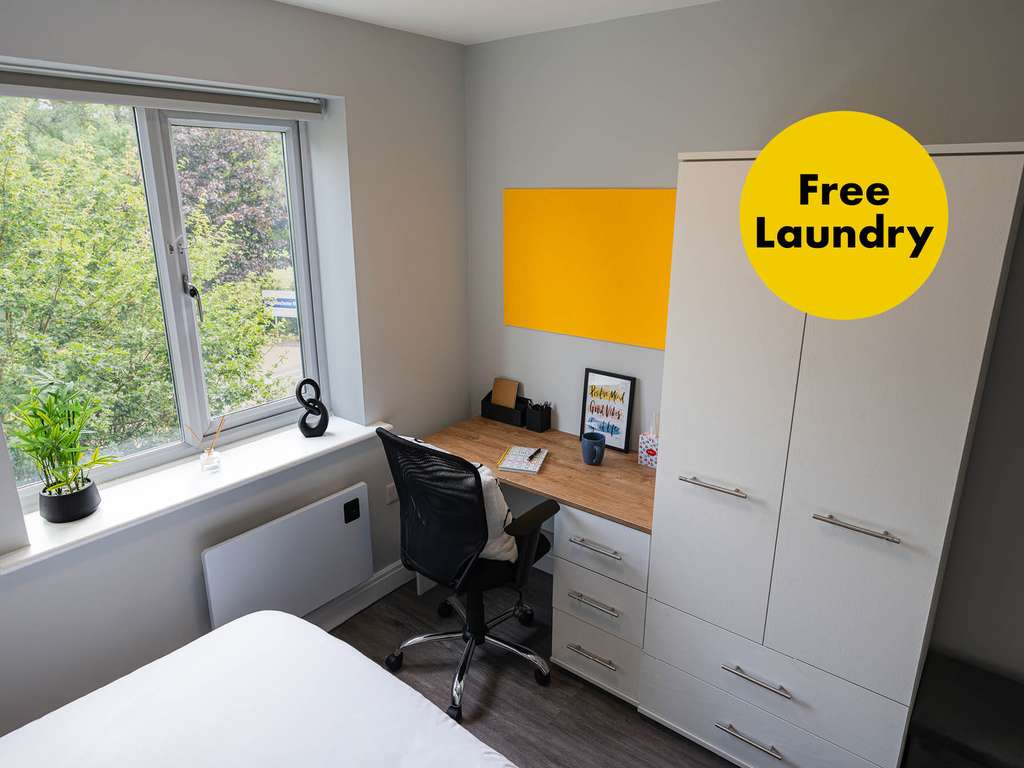 A bright room with a desk, chair, plants, and a wardrobe. Large window and yellow wall bulletin board. "Free Laundry" sign on wall.