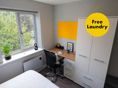 A bright room with a desk, chair, plants, and a wardrobe. Large window and yellow wall bulletin board. "Free Laundry" sign on wall.