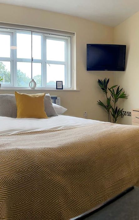 Cozy bedroom with a bed, yellow accents, wall-mounted TV, and a potted plant by the window. Natural light fills the room.
