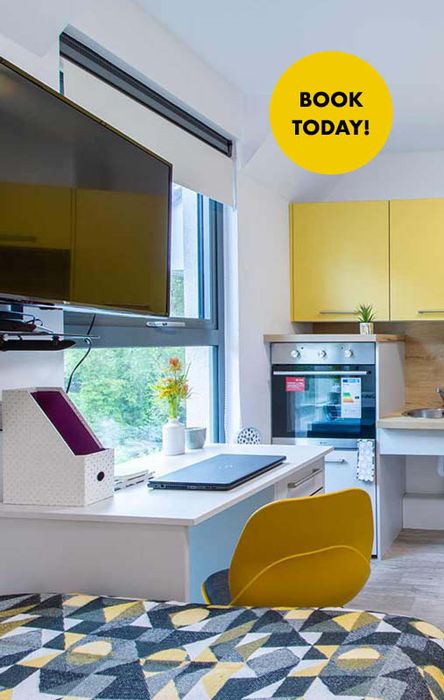 Modern studio apartment with a TV, desk, yellow chair, and kitchenette. Bright decor with yellow cabinets and geometric-patterned bedding.