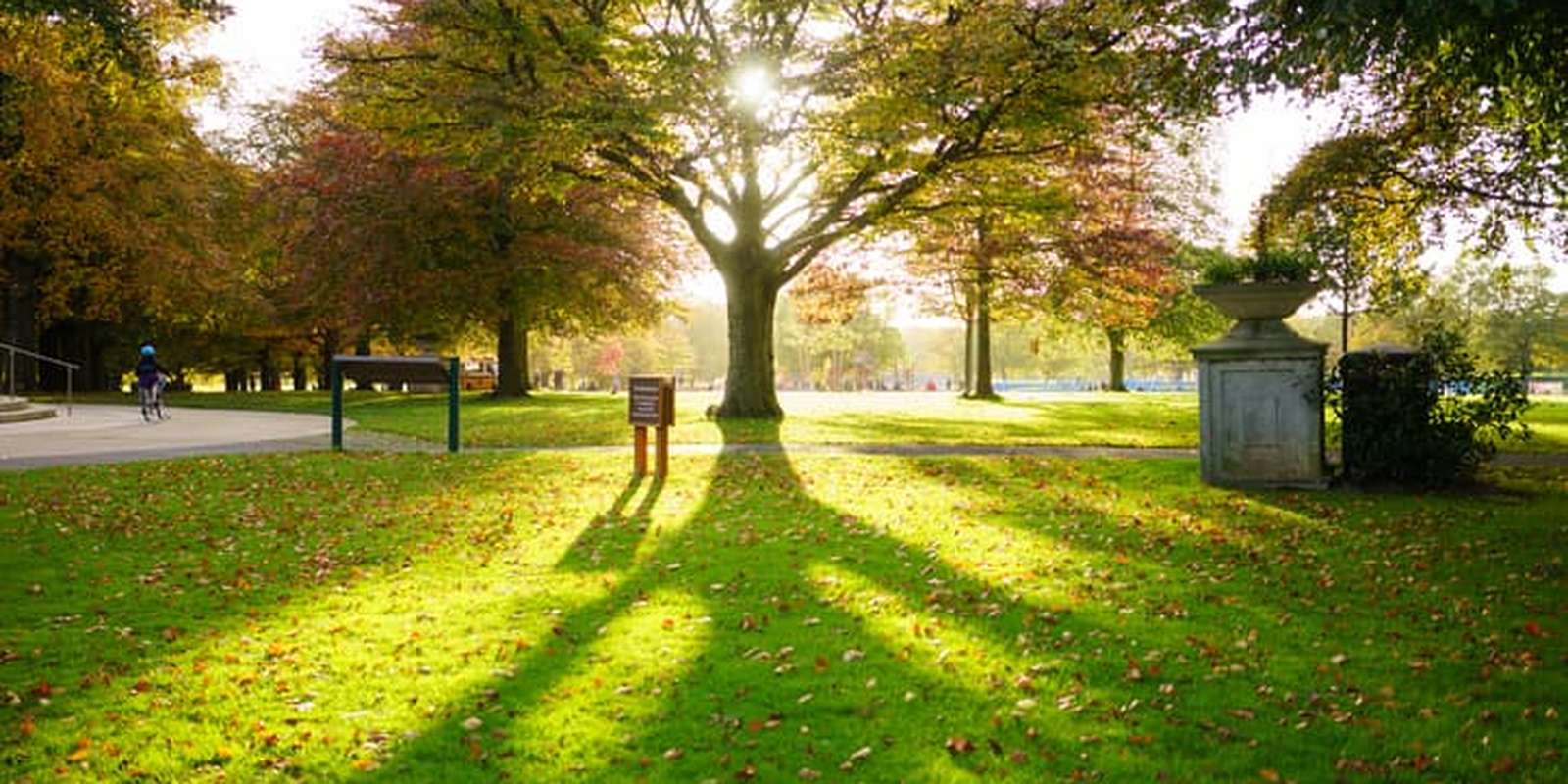Sunny day in coventry park