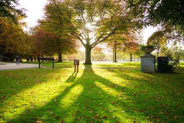 Sunny day in coventry park