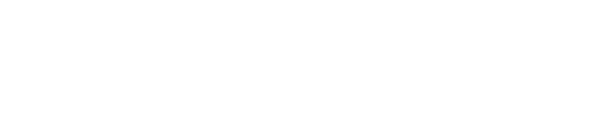 Unipol National Code logo white