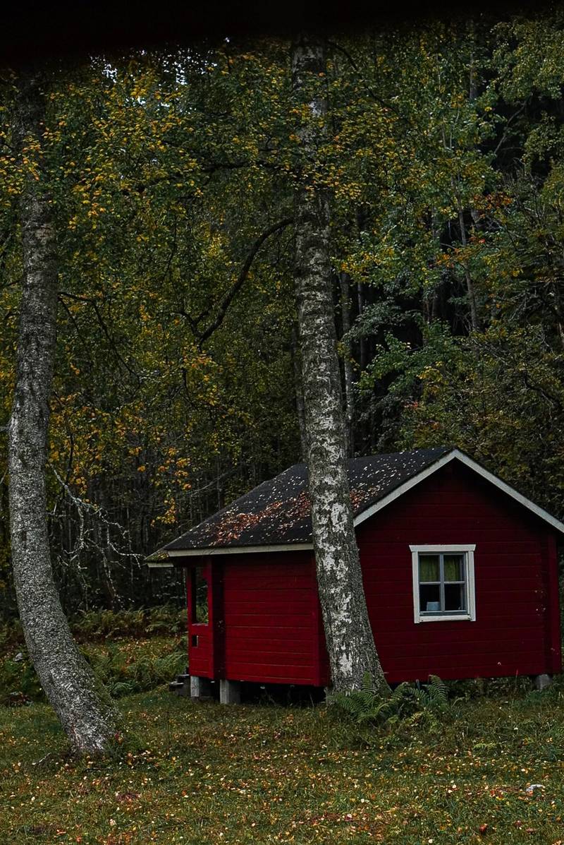 Culinair Zuid-Finland (culinaire reportage voor Culy)