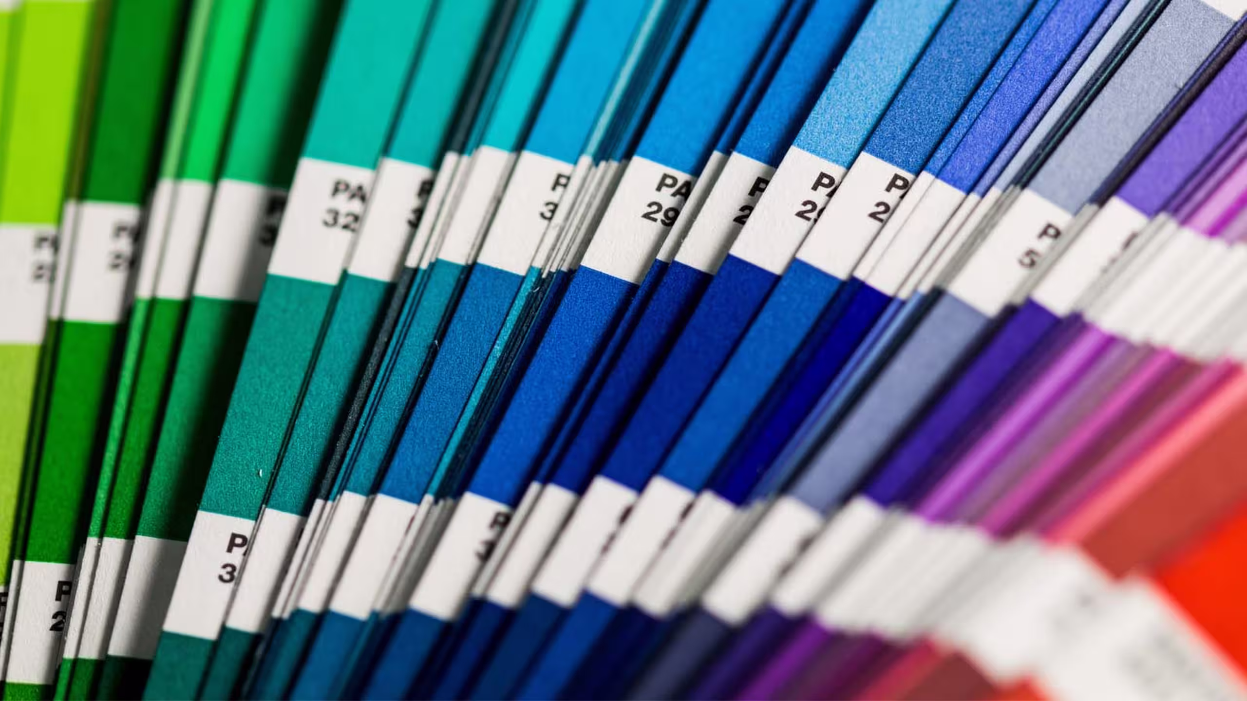 open pantone chip book