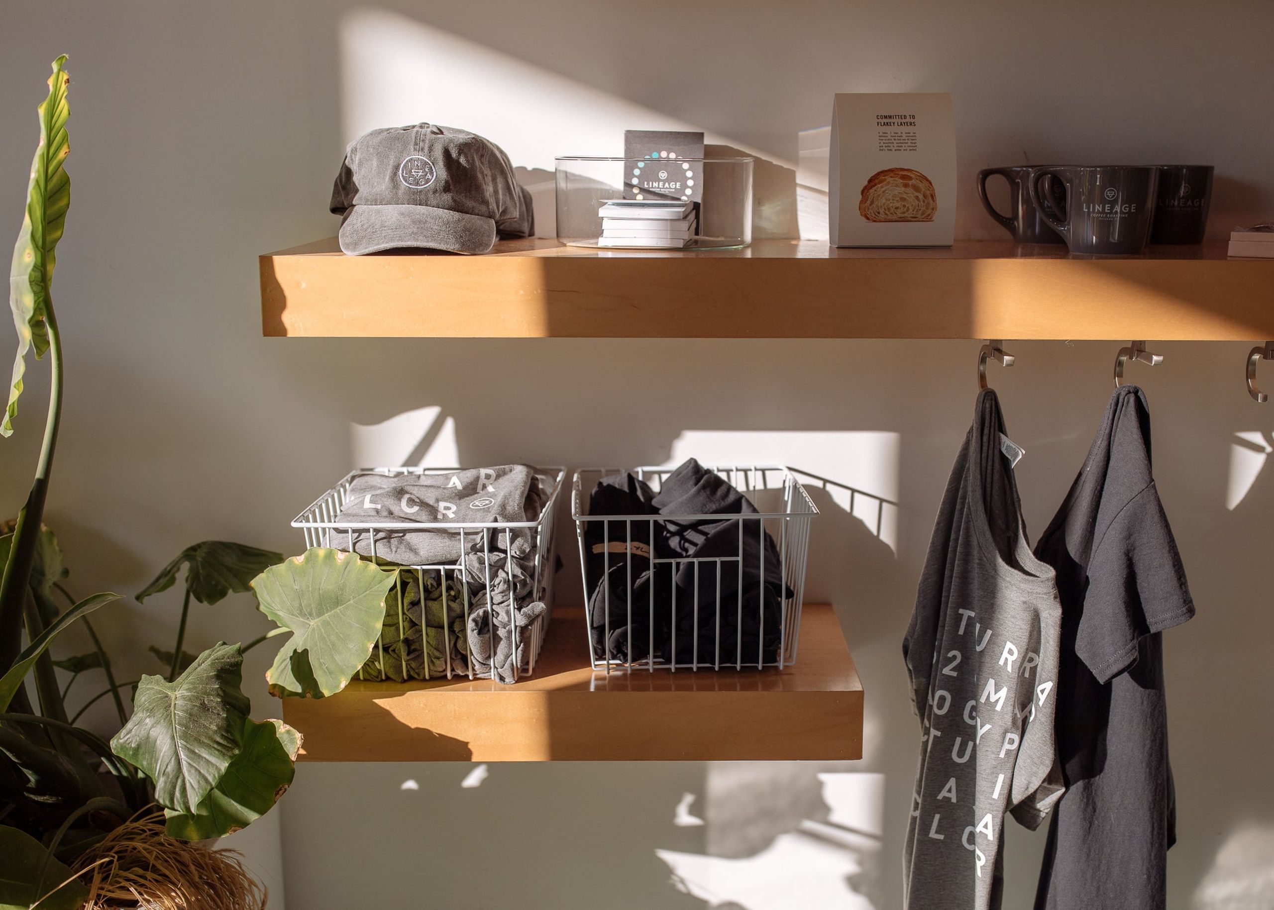 Lineage Coffee Roasters display rack 