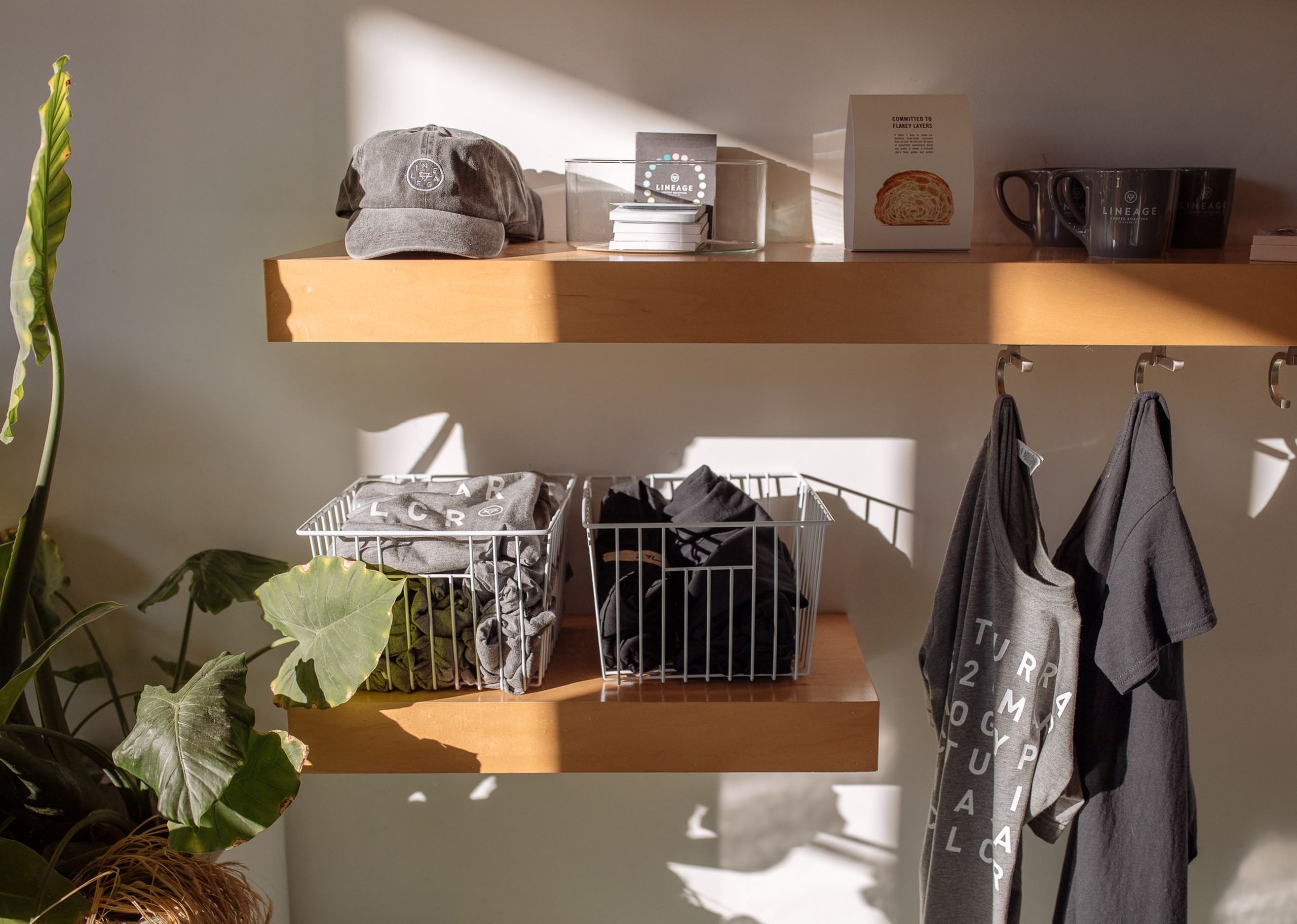 Lineage Coffee Roasters display rack 