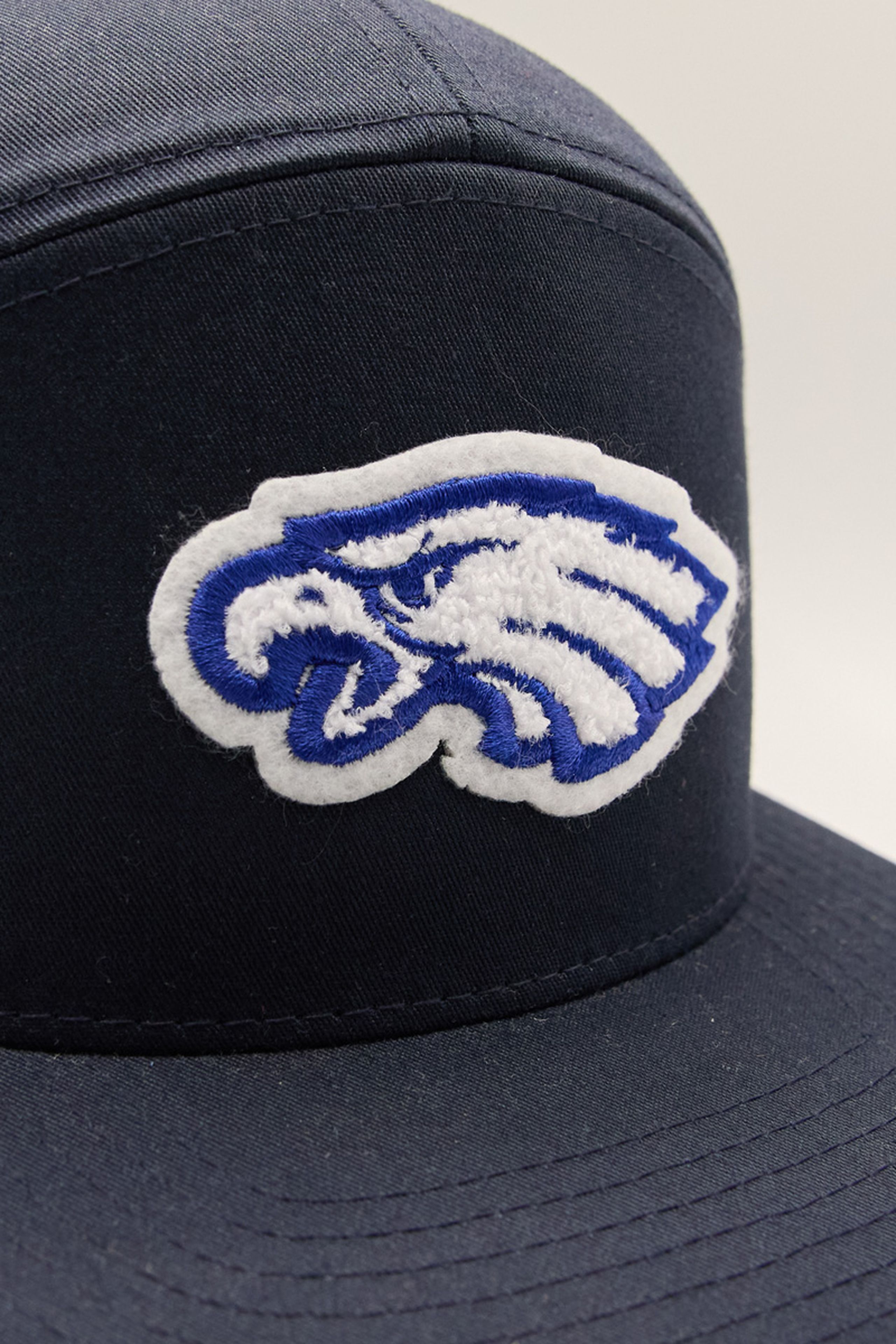 a blue and white chenille eagle
