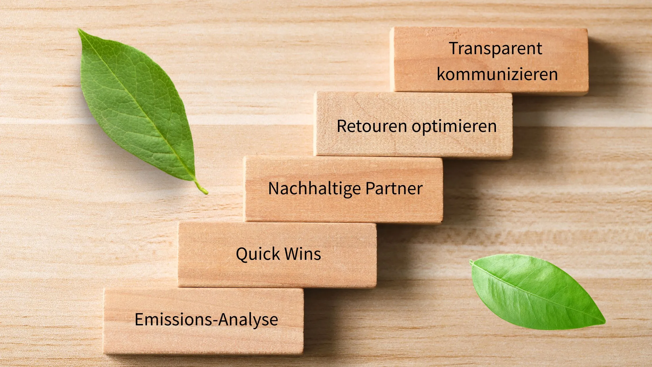Nachhaltigkeit im E-Commerce: 5 Schritte für mehr Nachhaltigkeit in eurem Online-Shop