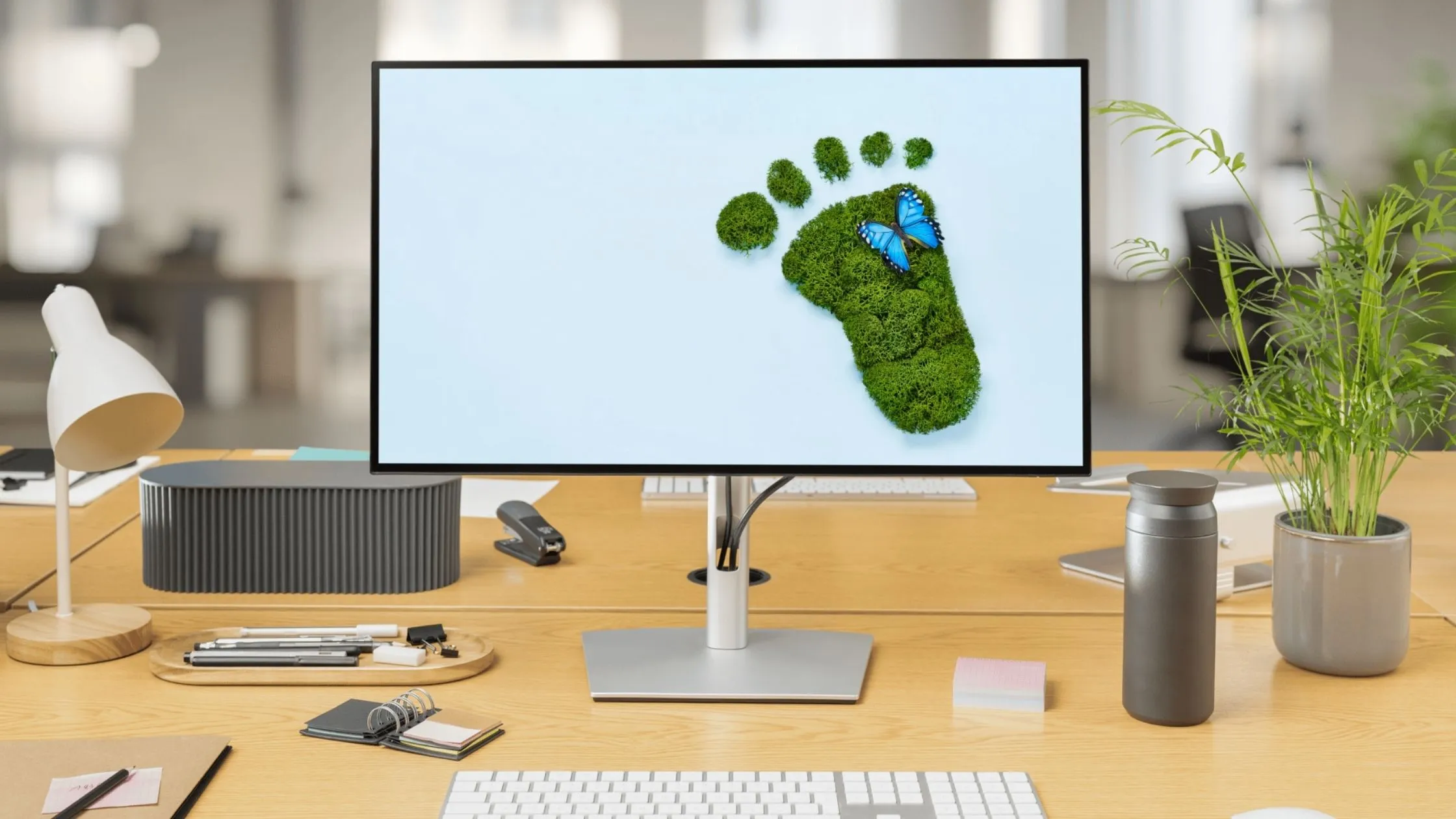 A desk with a computer displaying a green footprint and a blue butterfly. Surrounding items include a lamp, keyboard, and potted plant.