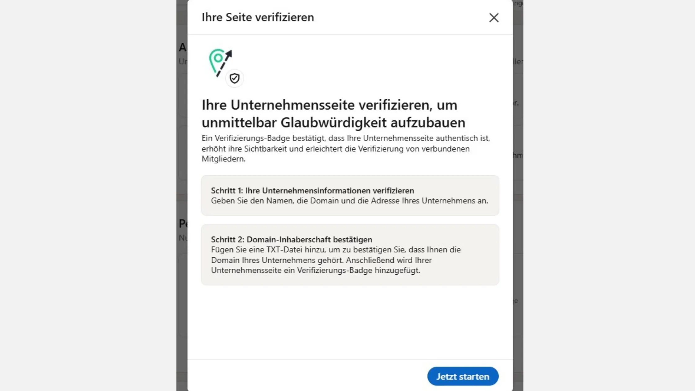 Verification page in German, guiding the user to verify their business page credibility through domain validation. Button labeled "Jetzt starten."